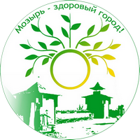 Preventive project "Mozyr - a healthy city"